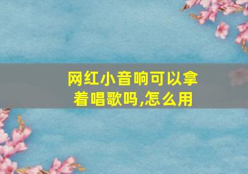 网红小音响可以拿着唱歌吗,怎么用