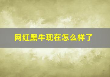 网红黑牛现在怎么样了