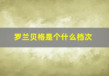 罗兰贝格是个什么档次