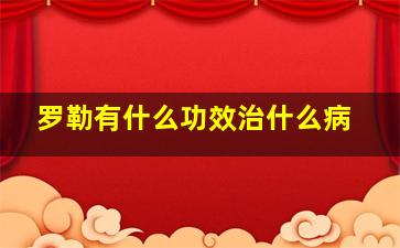 罗勒有什么功效治什么病