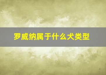 罗威纳属于什么犬类型