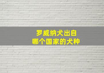 罗威纳犬出自哪个国家的犬种