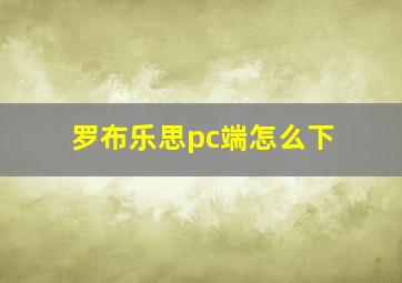 罗布乐思pc端怎么下