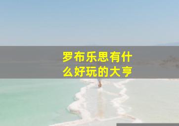 罗布乐思有什么好玩的大亨