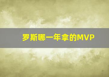 罗斯哪一年拿的MVP