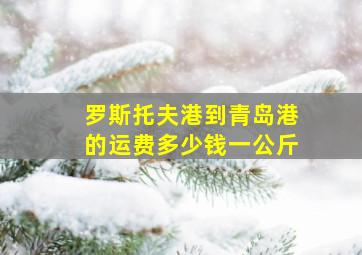 罗斯托夫港到青岛港的运费多少钱一公斤