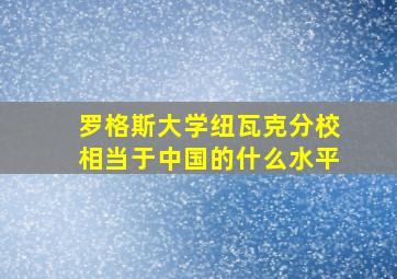 罗格斯大学纽瓦克分校相当于中国的什么水平