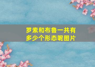 罗索和布鲁一共有多少个形态呢图片