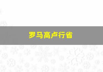 罗马高卢行省