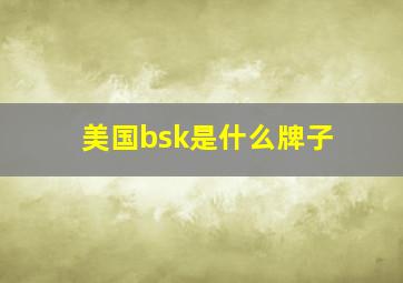 美国bsk是什么牌子