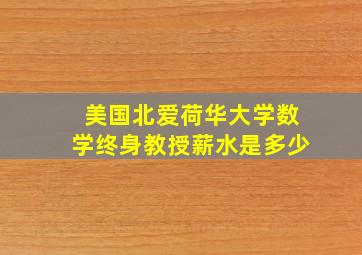 美国北爱荷华大学数学终身教授薪水是多少