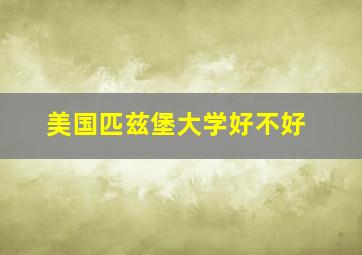 美国匹兹堡大学好不好