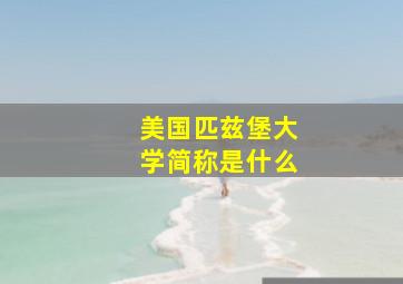 美国匹兹堡大学简称是什么