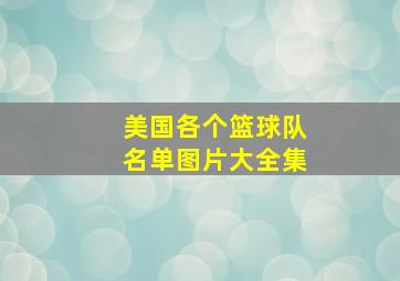 美国各个篮球队名单图片大全集