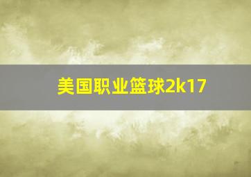 美国职业篮球2k17