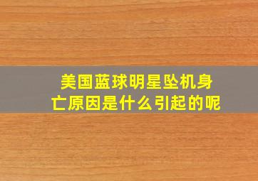 美国蓝球明星坠机身亡原因是什么引起的呢