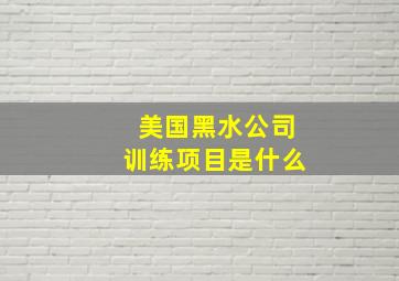 美国黑水公司训练项目是什么