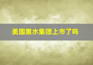 美国黑水集团上市了吗