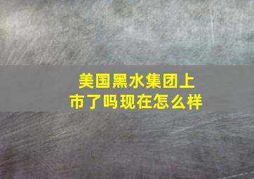 美国黑水集团上市了吗现在怎么样