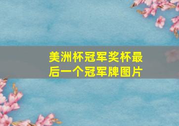 美洲杯冠军奖杯最后一个冠军牌图片