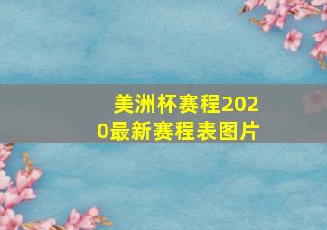 美洲杯赛程2020最新赛程表图片