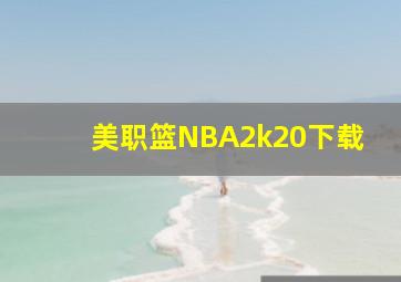 美职篮NBA2k20下载