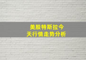 美股特斯拉今天行情走势分析