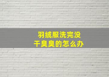 羽绒服洗完没干臭臭的怎么办