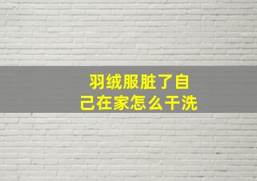 羽绒服脏了自己在家怎么干洗