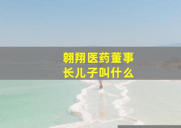 翱翔医药董事长儿子叫什么