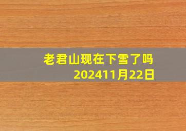 老君山现在下雪了吗202411月22日