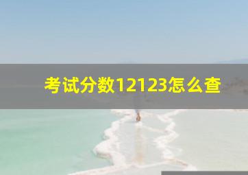 考试分数12123怎么查