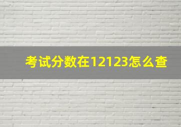 考试分数在12123怎么查