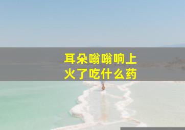 耳朵嗡嗡响上火了吃什么药