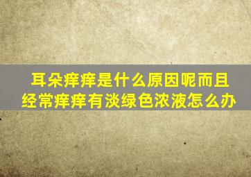 耳朵痒痒是什么原因呢而且经常痒痒有淡绿色浓液怎么办