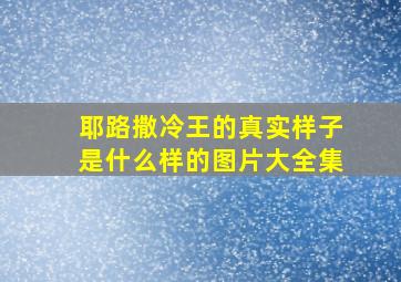 耶路撒冷王的真实样子是什么样的图片大全集