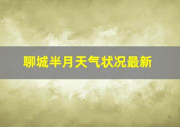 聊城半月天气状况最新