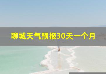 聊城天气预报30天一个月