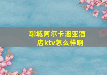 聊城阿尔卡迪亚酒店ktv怎么样啊