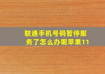 联通手机号码暂停服务了怎么办呢苹果11