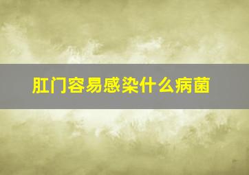 肛门容易感染什么病菌