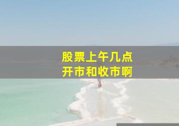 股票上午几点开市和收市啊