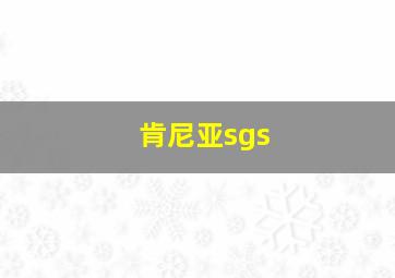 肯尼亚sgs