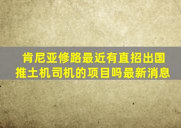 肯尼亚修路最近有直招出国推土机司机的项目吗最新消息