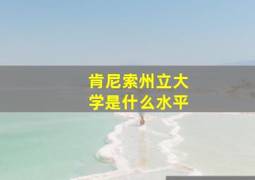 肯尼索州立大学是什么水平