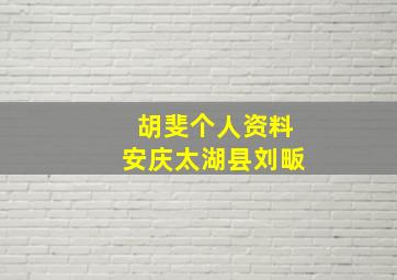 胡斐个人资料安庆太湖县刘畈