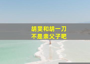 胡斐和胡一刀不是亲父子吧