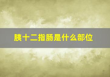 胰十二指肠是什么部位