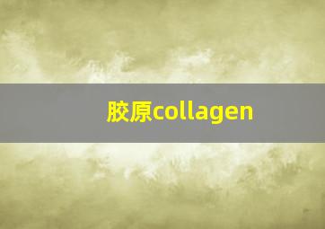 胶原collagen