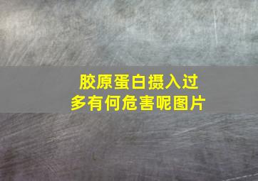 胶原蛋白摄入过多有何危害呢图片